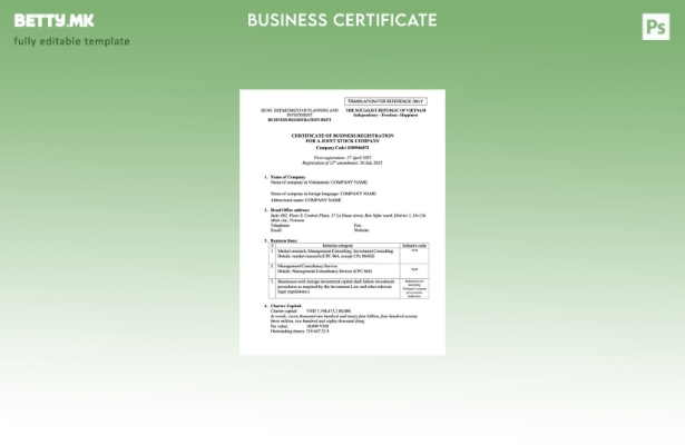 Модерен стил Виетнамски сертификат за регистрација на бизнис Шаблон за Word и PD